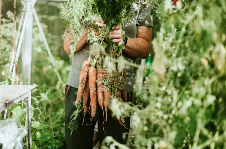 1691210259367966.png 微信截图_20230805123728.png