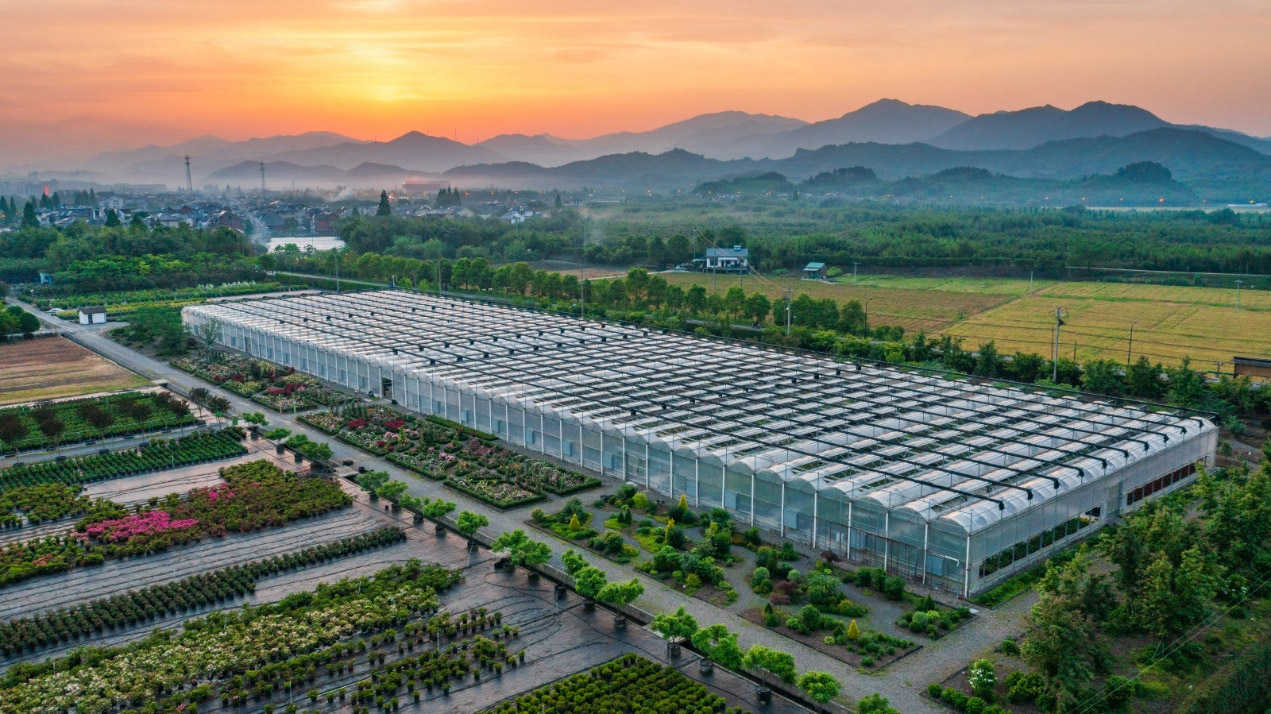 1691229763207620.jpg 图片6.jpg