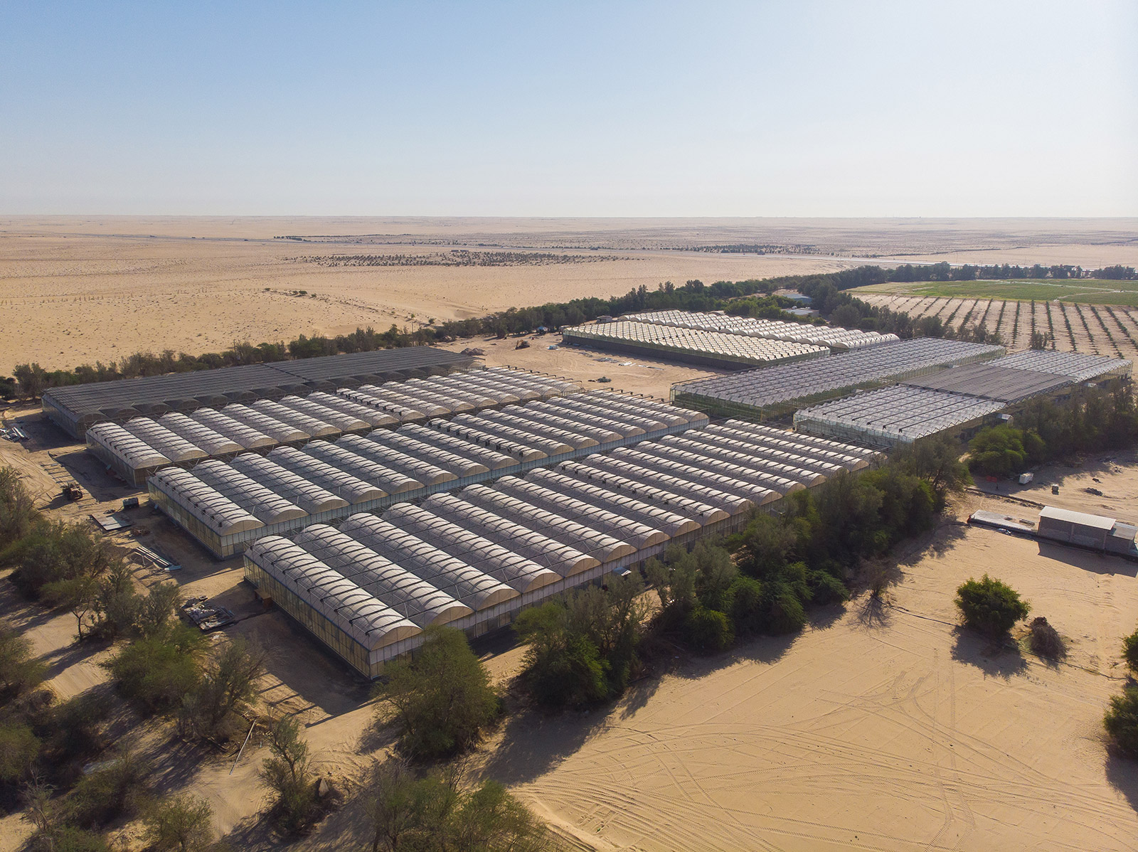 1691468583751335.jpg DJI_0980.jpg